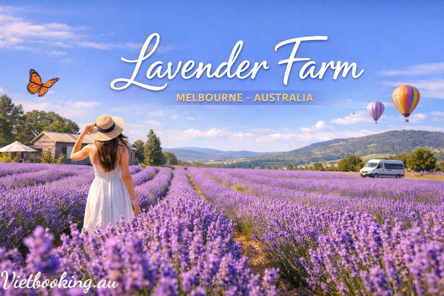 Việt booking - VietBooking - Vbooking - Lavender Farm tại Melbourne – Cánh đồng tím mộng mơ của nước Úc