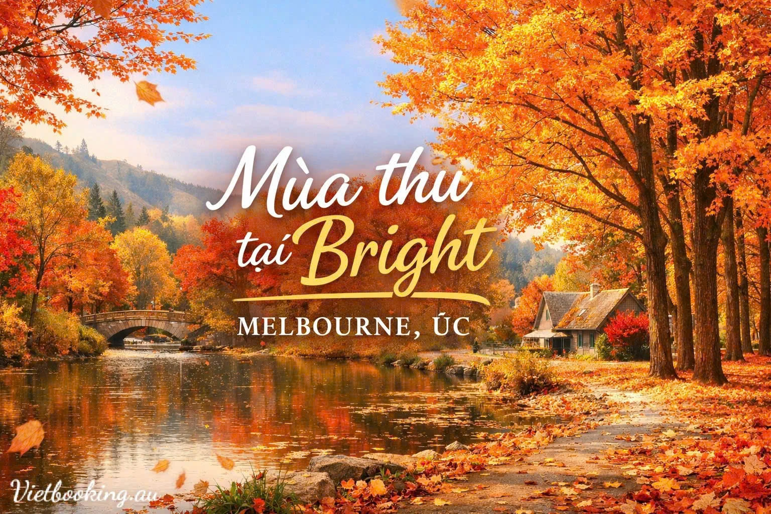 Mùa thu tại Bright – Bản hòa ca lá vàng lá đỏ giữa lòng nước Úc