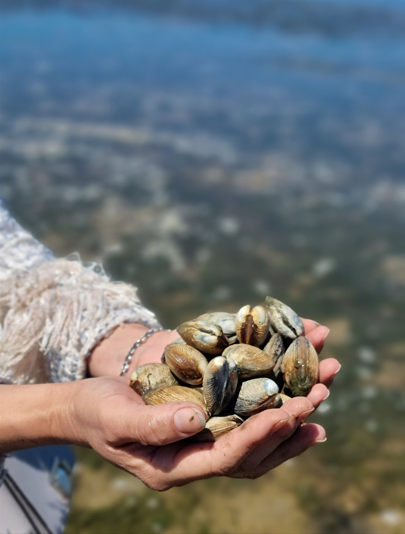 240924-171927.png (314 KB)