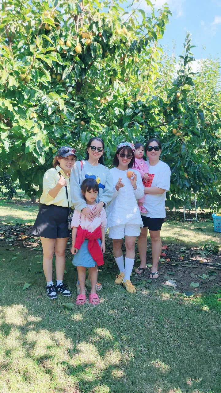 00c8990a348986d7df9861-721x1280.webp (275 KB)