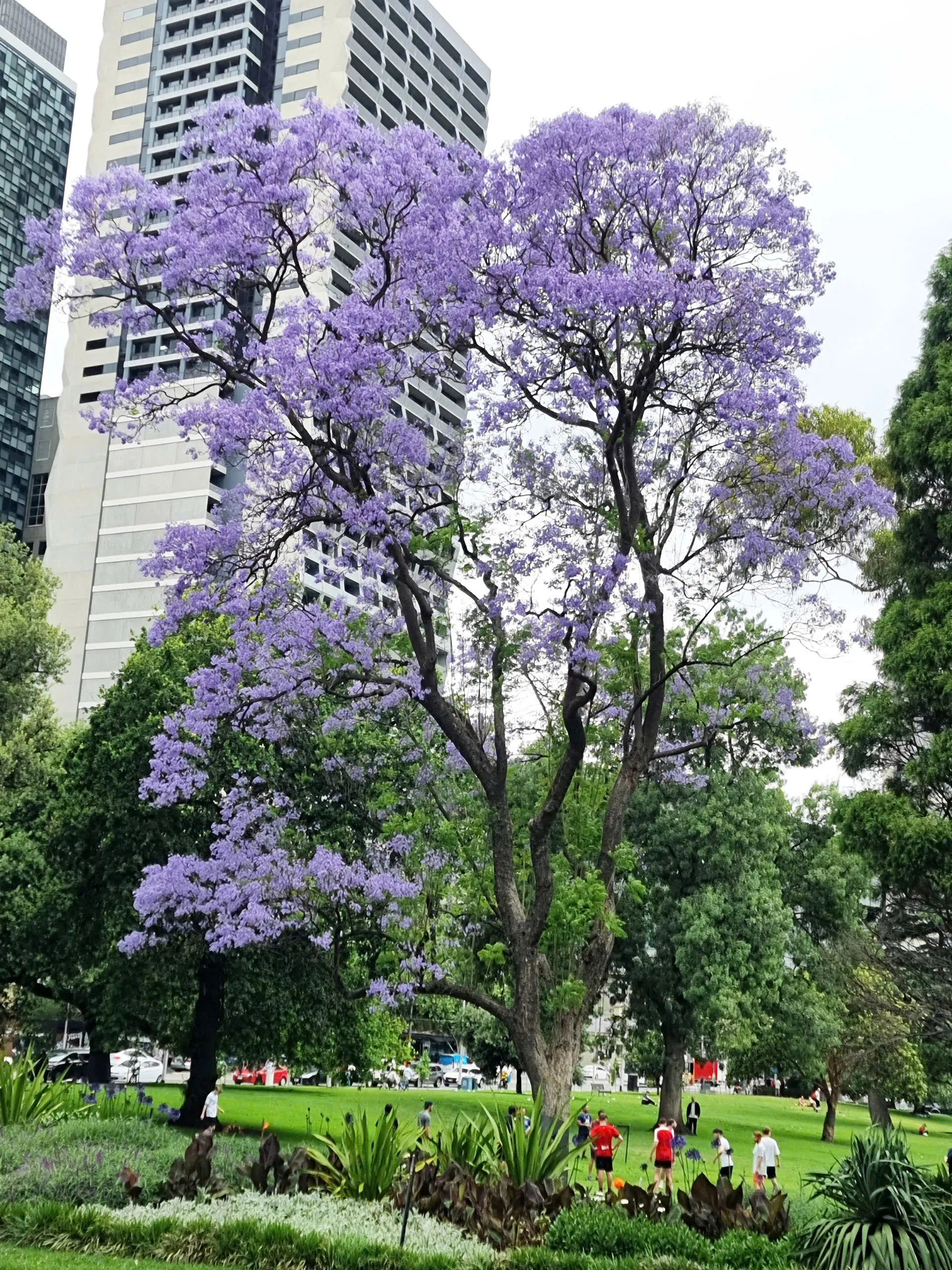 b7582534-fa26-4685-98d5-d47464c7e3b6-1920x2560.webp (852 KB)