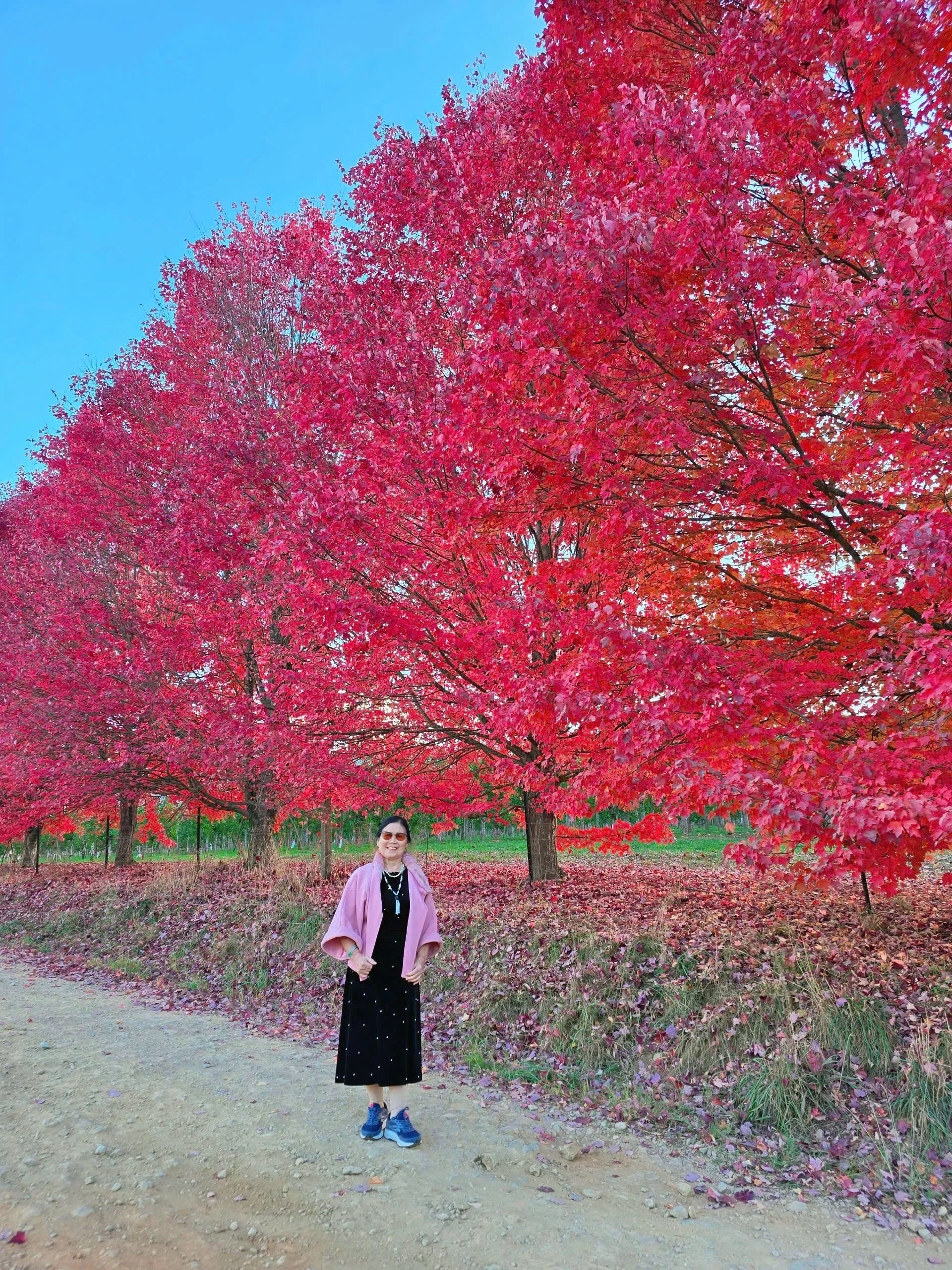 1f2e37a2cdeb78b521fa6-1920x2560.webp (1.42 MB)