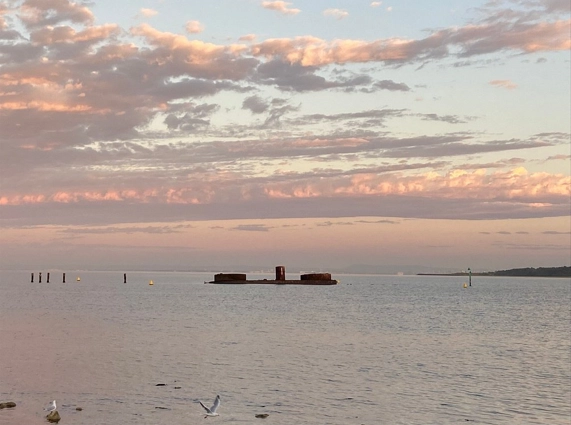 250122-141124-571x425.webp (88 KB)