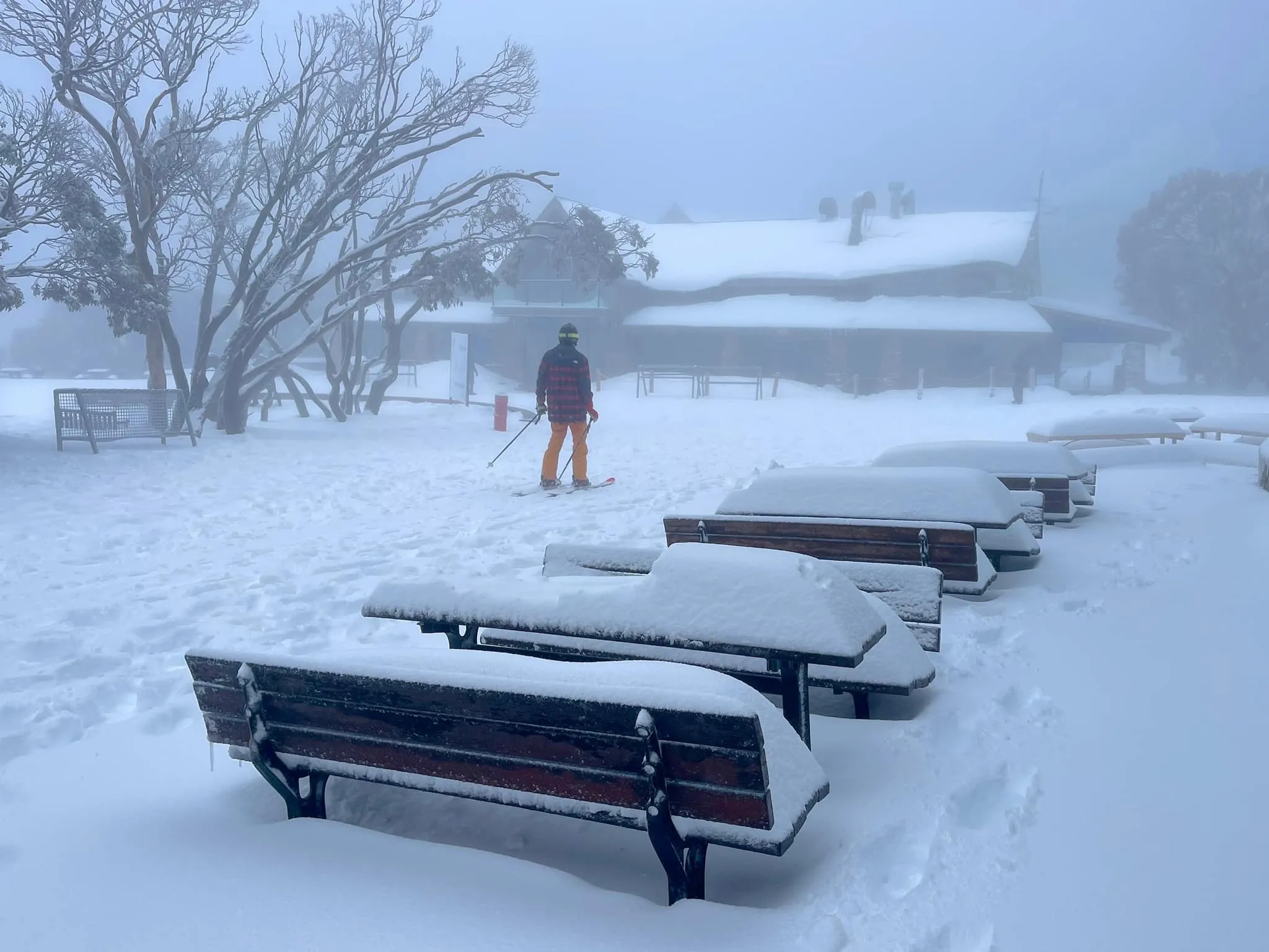 451704444_895719479264927_7193553117790436166_n-2048x1536.webp (183 KB)