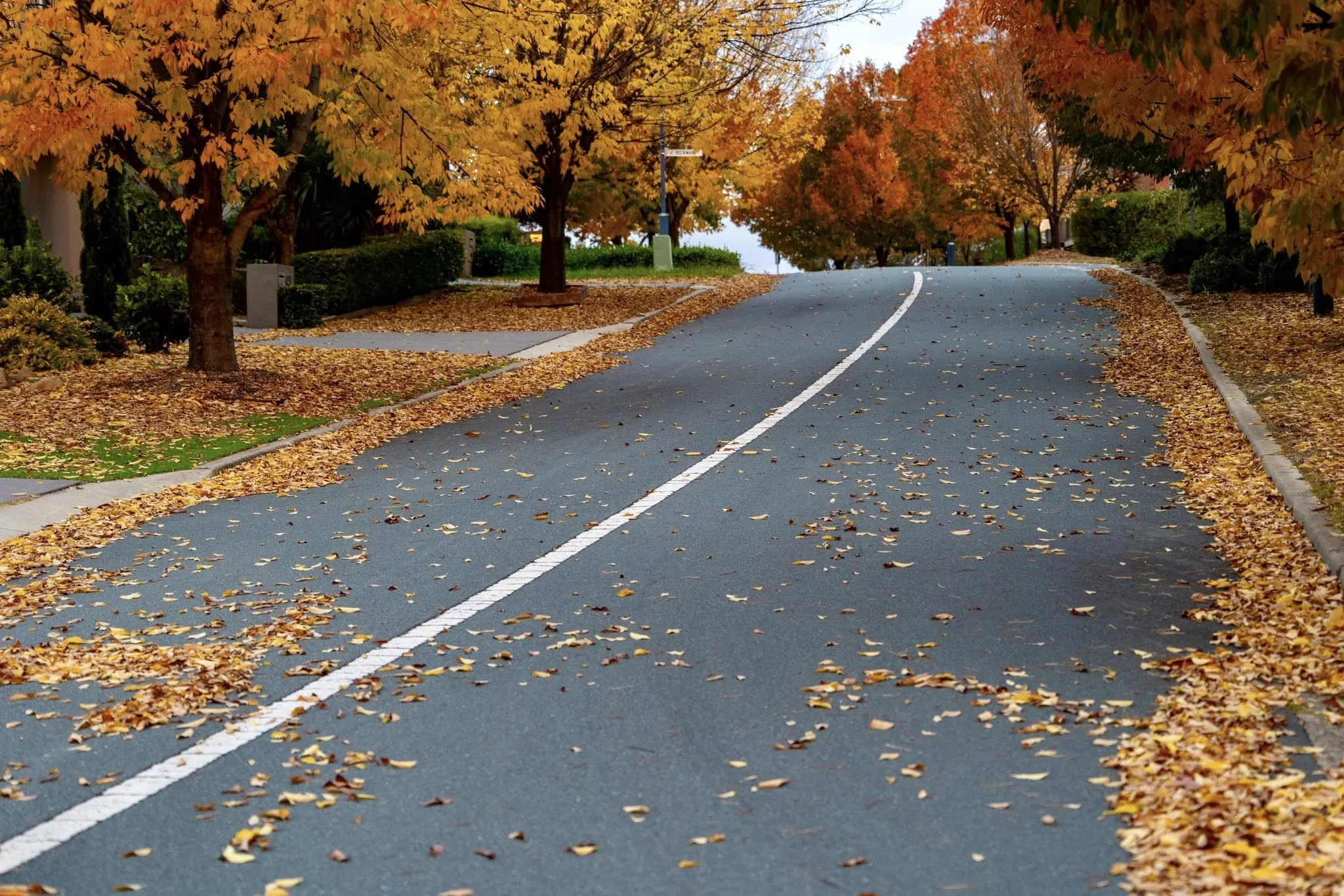 492327259_1251549646301163_3944862407775500180_n-2048x1366.webp (482 KB)