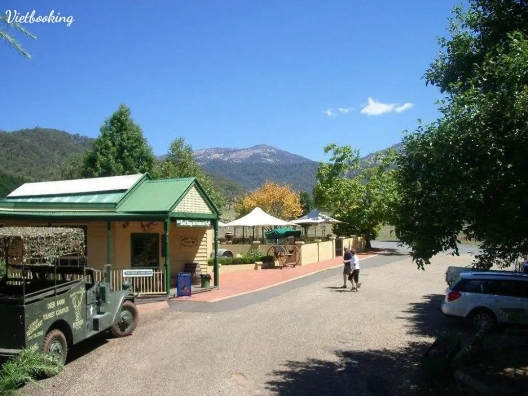 77b05034adb71fe946a6-1080x810.webp (126 KB)