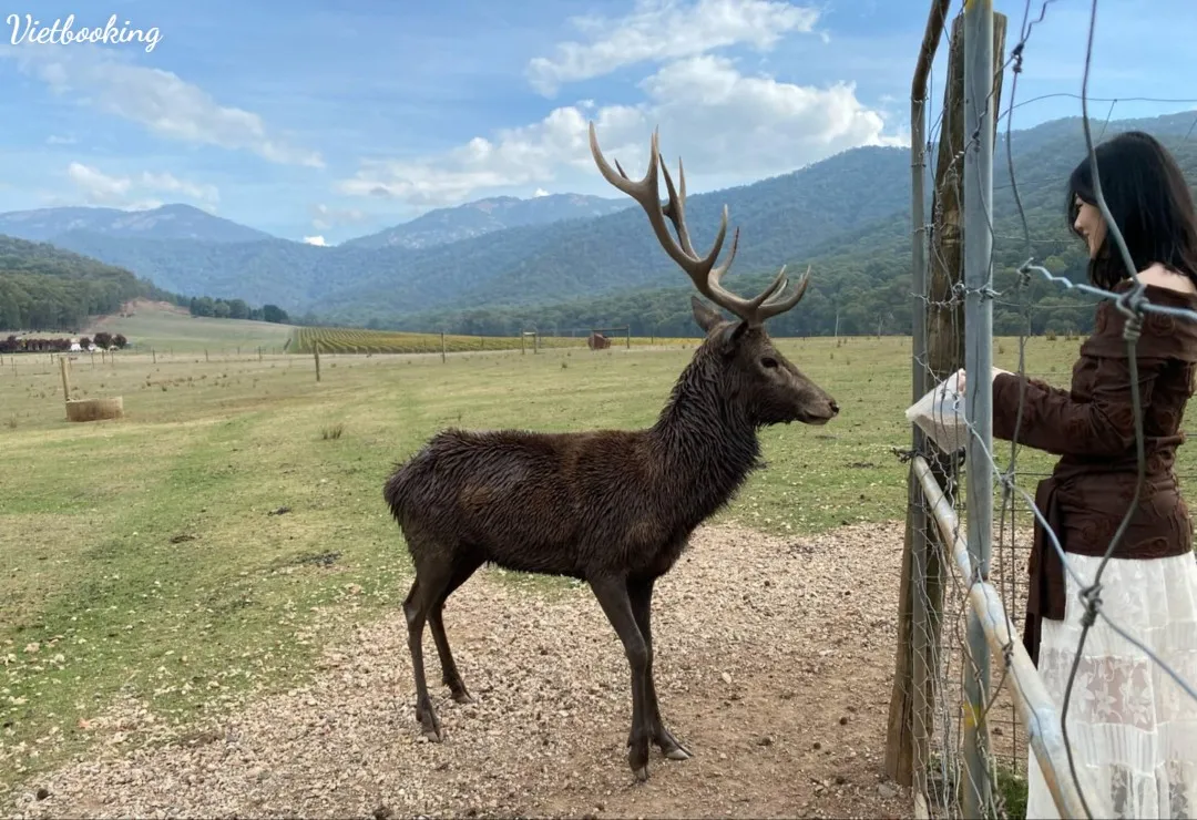 7dc2f793ef8c5dd2049d34-1080x740.webp (138 KB)