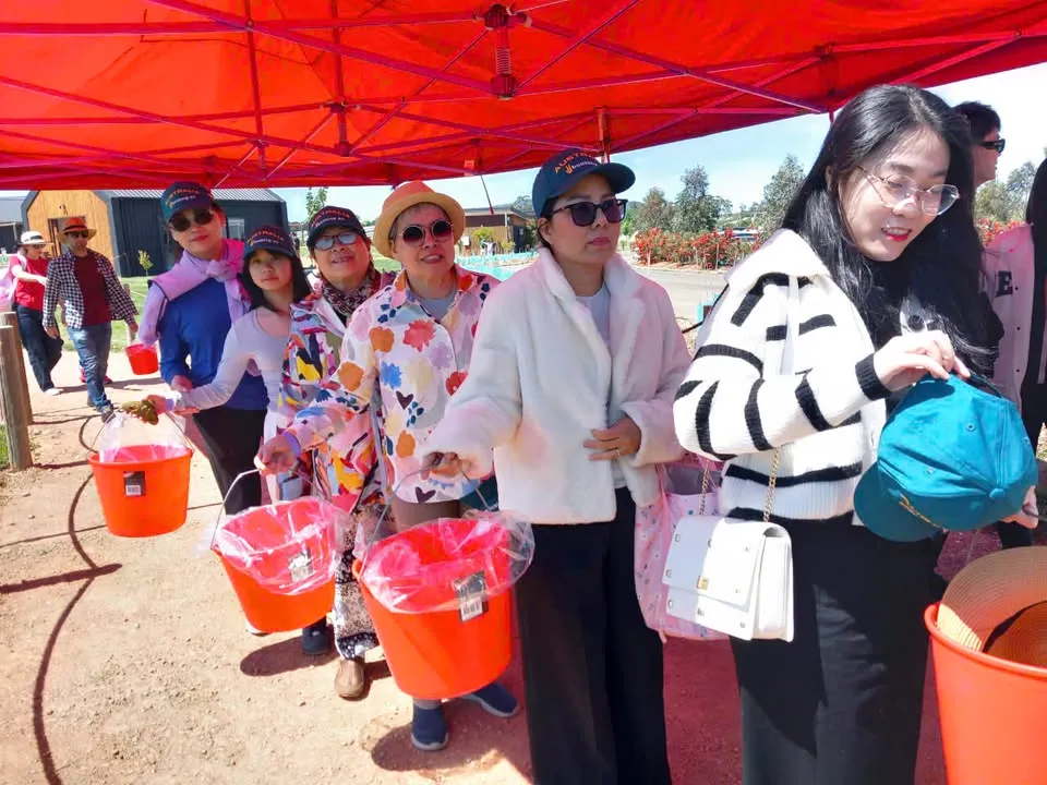 468275518_593805669678558_3055496152503251311_n-960x720.webp (101 KB)