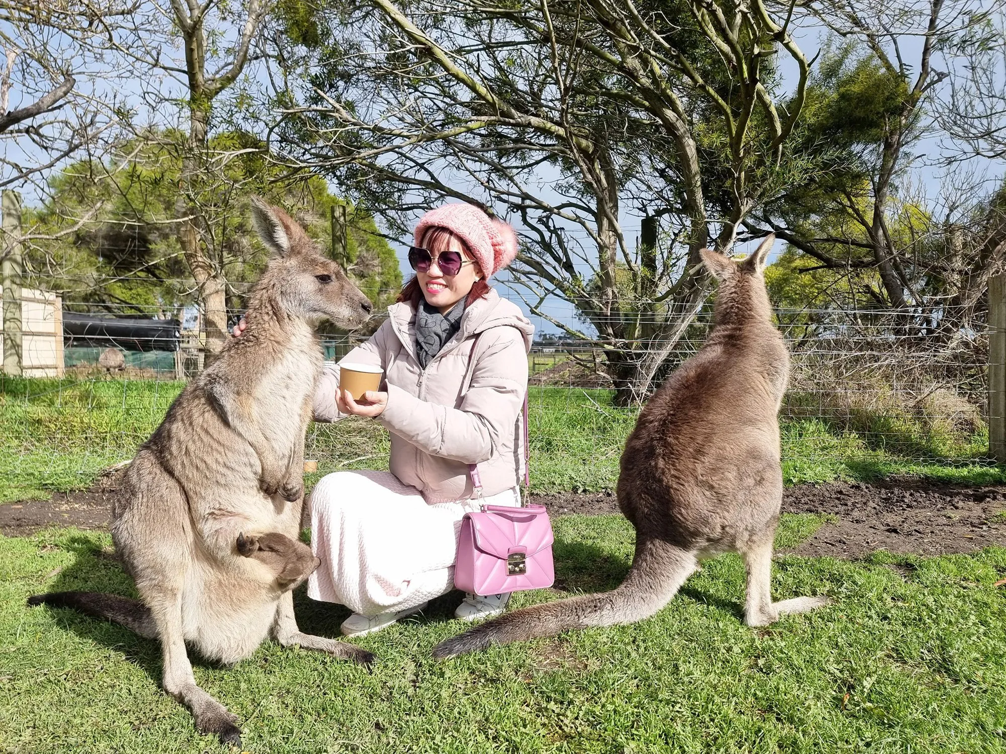 a0b8749a-786a-45aa-b97e-b8e2968a87ef-2000x1500.webp (1.07 MB)