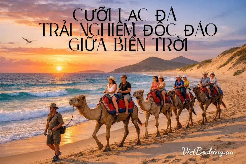 trai-nghiem-cuoi-lac-da-tai-vinh-nelson-bay-1770608252.webp (90 KB)