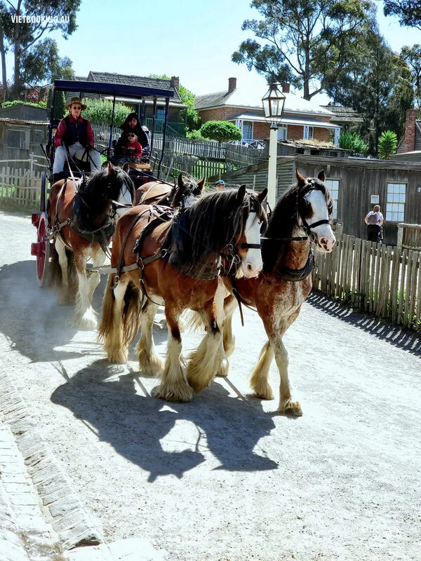 13d32ce9-941d-4d25-aedb-bd4f76585703-1772532706.webp (139 KB)