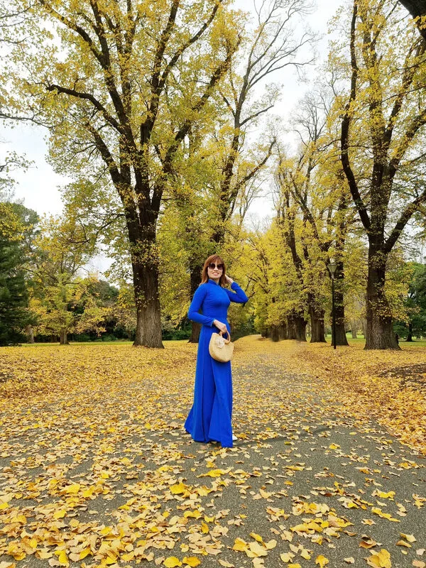 43222d2ca0b01fee46a124-1773115165.webp (221 KB)