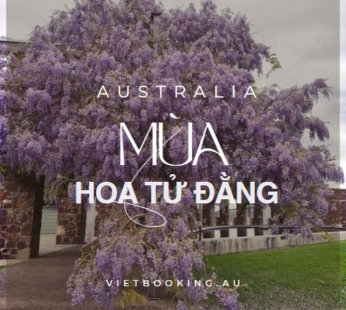 250122-153339-497x445.webp (132 KB)