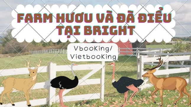 250520-171029-646x363.webp (46 KB)