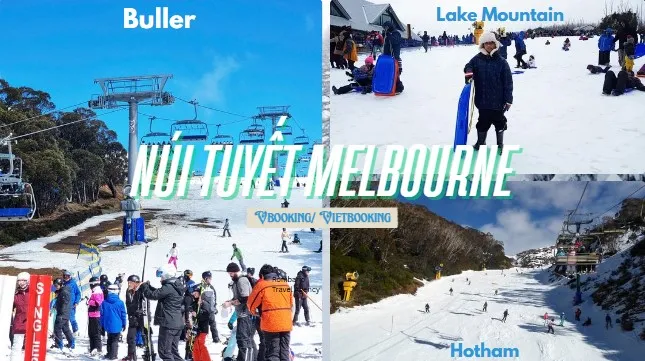 250525-162602-645x361.webp (56 KB)