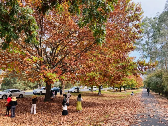 260316-150131-1773648094.webp (120 KB)