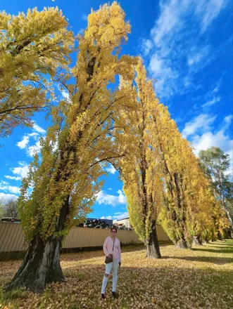 260316-150325-1773648208.webp (49 KB)