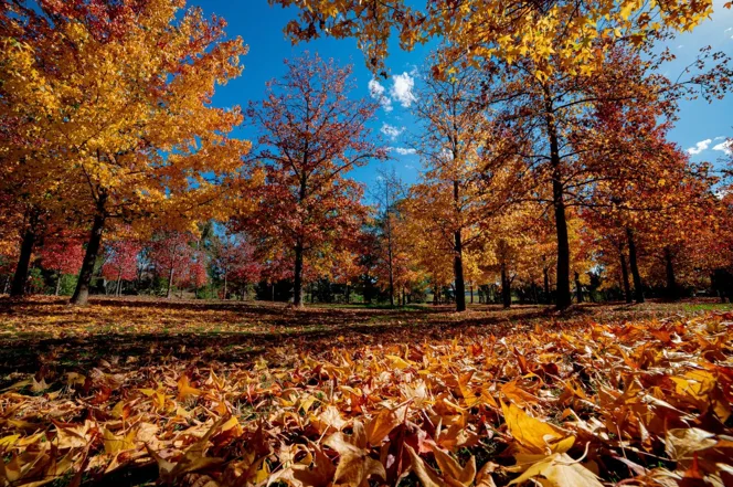 260401-105510-1775015713.webp (125 KB)