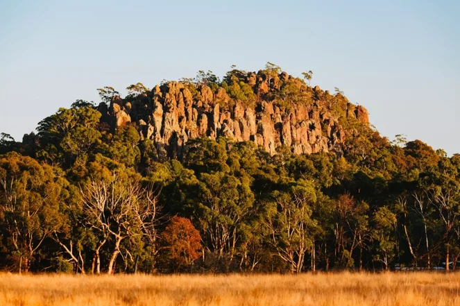 260401-105817-1775015900.webp (68 KB)