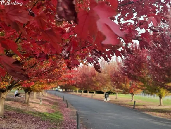 260407-142557-1775546760.webp (50 KB)