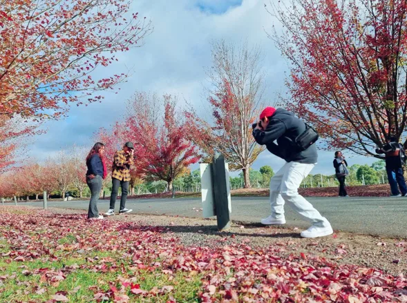 260407-144434-1775547878.webp (95 KB)