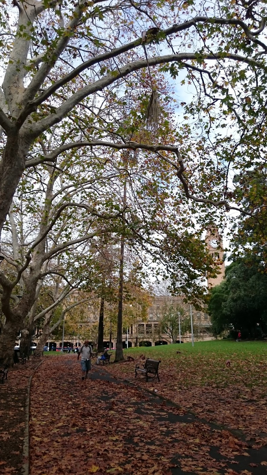 Sydney một ng&agrave;y sau gi&ocirc;ng b&atilde;o