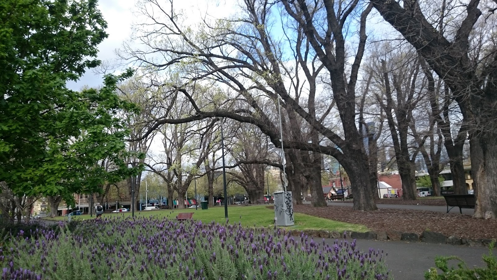 M&ugrave;a xu&acirc;n ở Melbourne