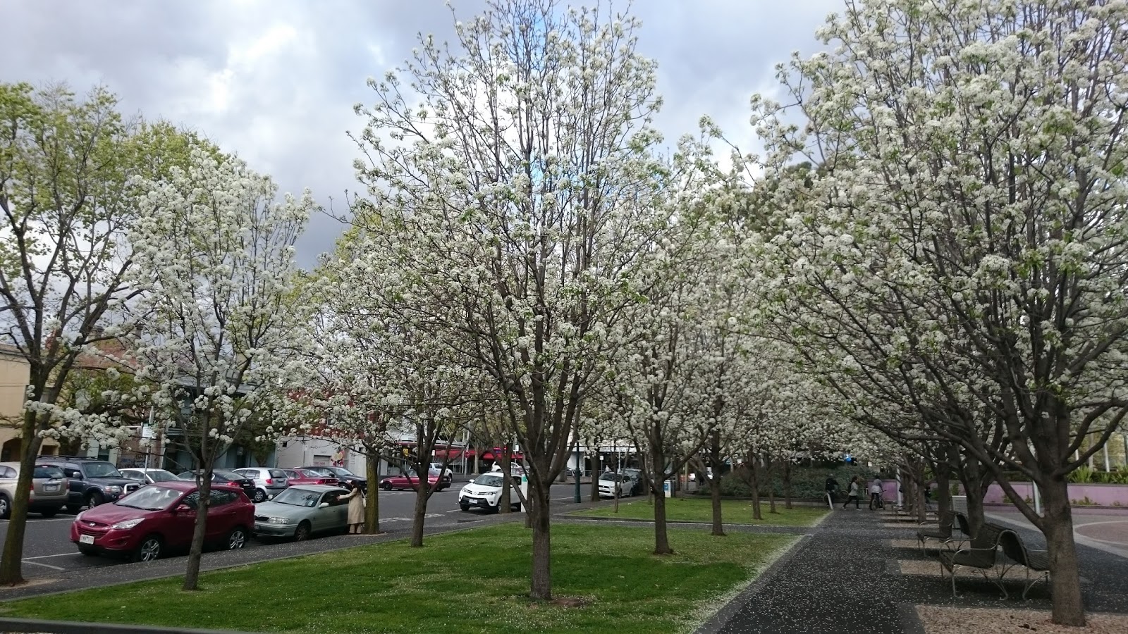 M&ugrave;a xu&acirc;n ở Melbourne