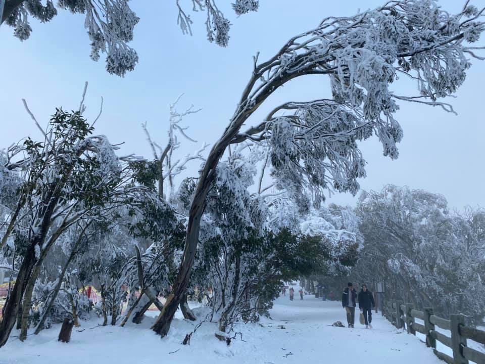 Thị trấn tuyết phủ ở Buller Mountain