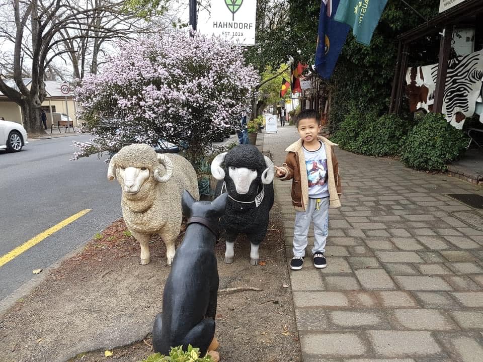 Khám Phá Adelaide phần 2