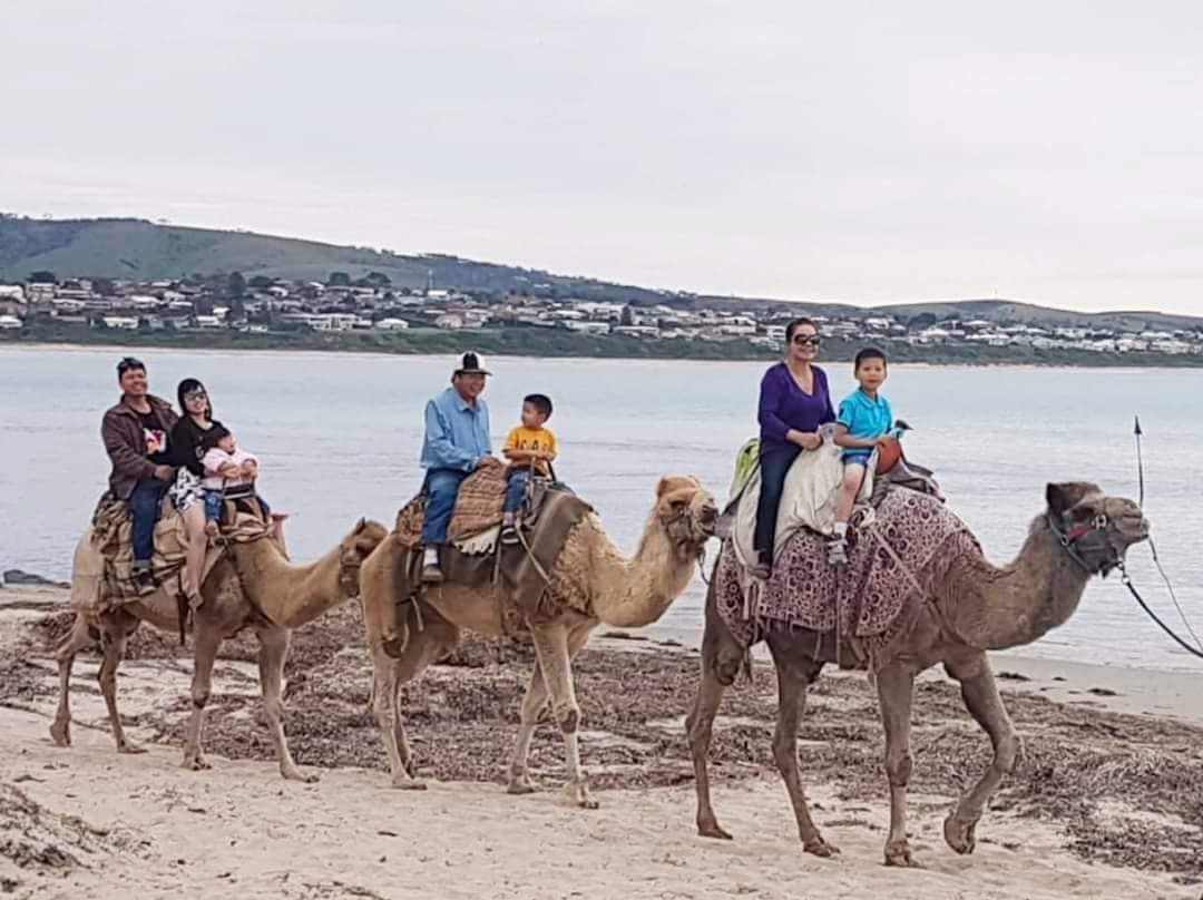 Khám Phá Adelaide phần 2