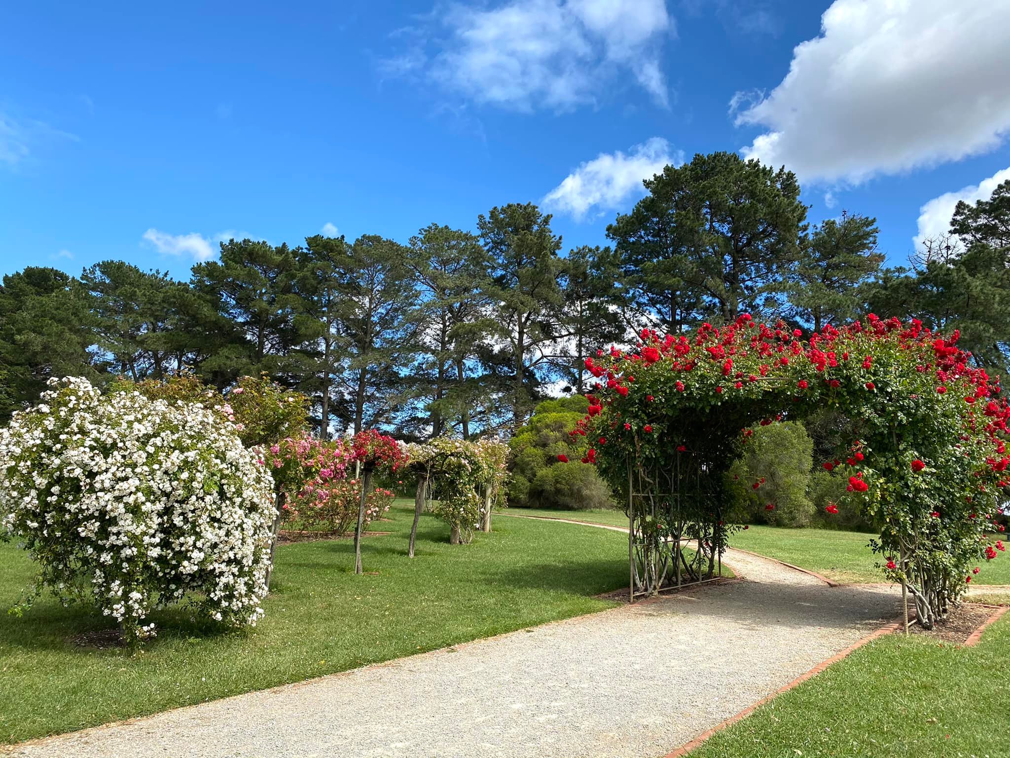 Vườn hồng Werribee