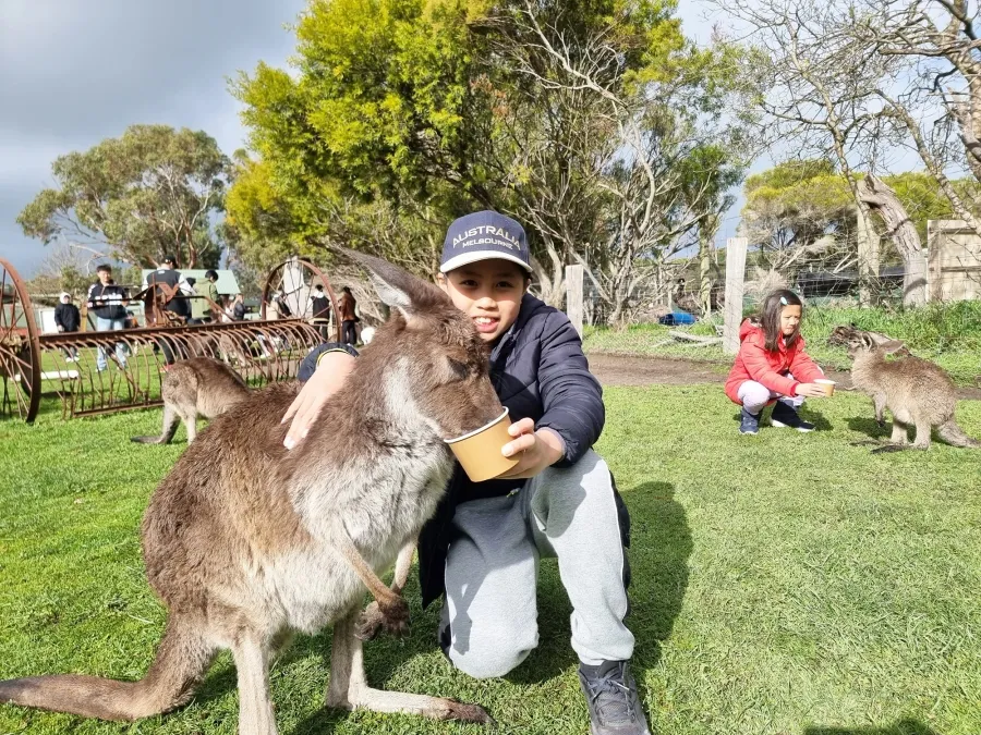 item image 231 album của tour Phillip Island VIP tour