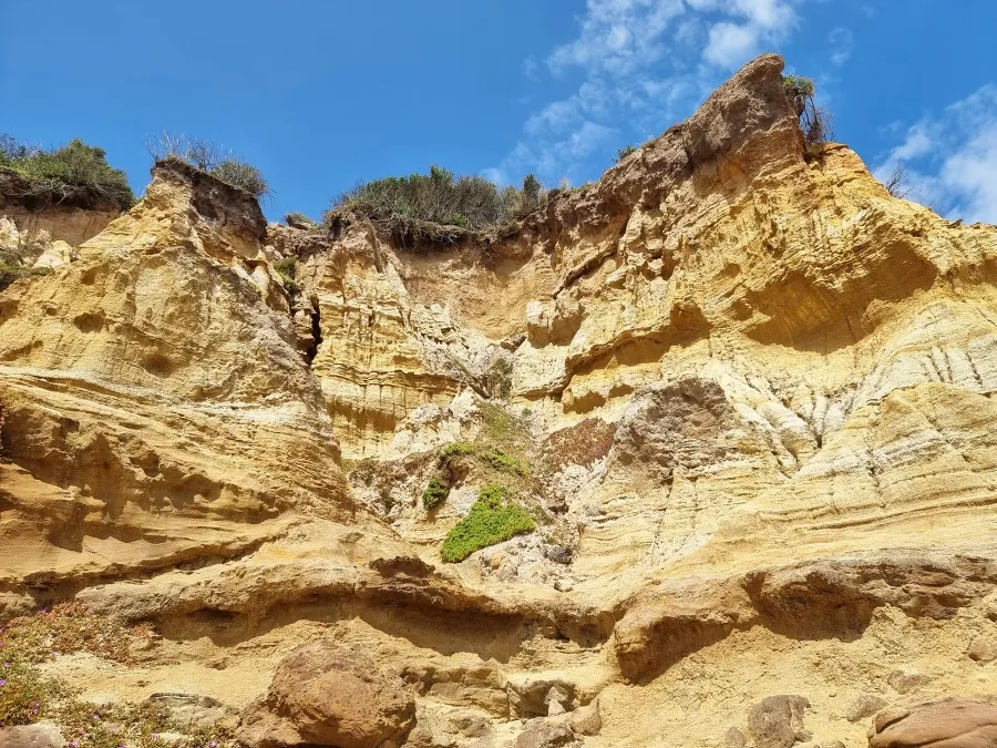 item image 278 album của tour Du ngoạn Vịnh Port Phillip - Ngắm cá heo