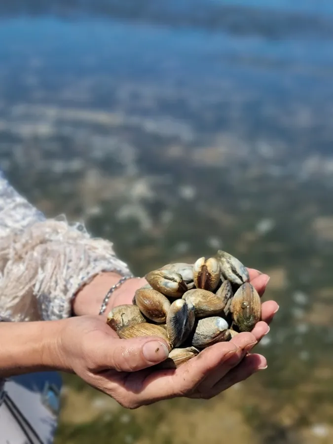 item image 295 album của tour Lake Entrance - Bắt ghẹ vớt tôm