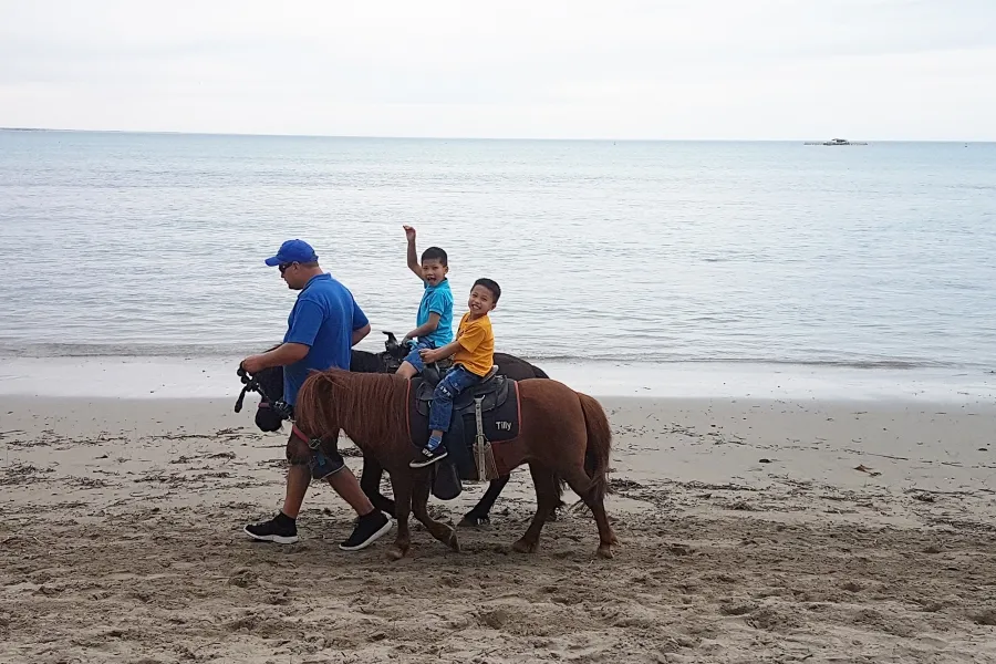 item image 352 album của tour Adelaide road trip 4 ngày 3 đêm