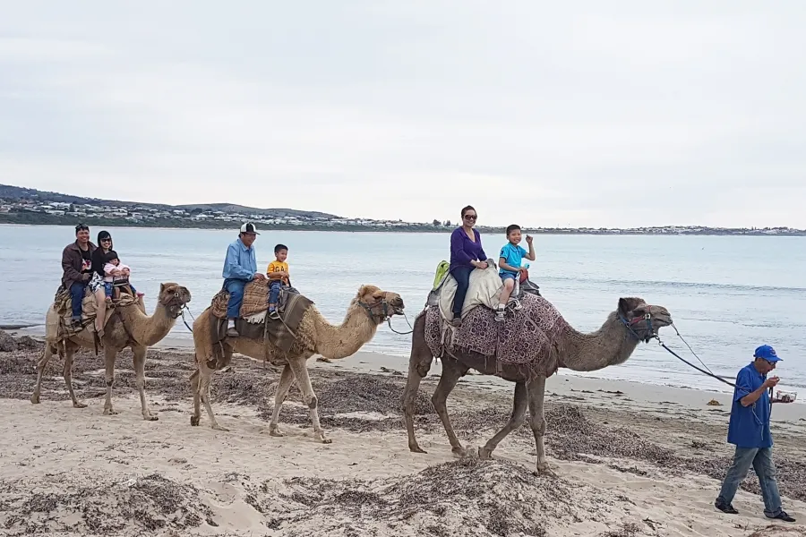 item image 353 album của tour Adelaide road trip 4 ngày 3 đêm