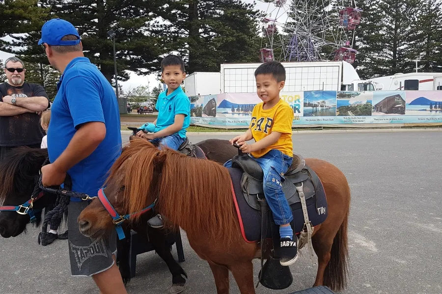 item image 354 album của tour Adelaide road trip 4 ngày 3 đêm