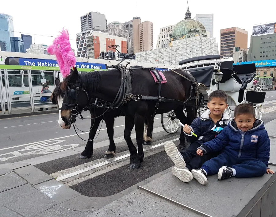 item image 379 album của tour Việt booking - VietBooking -Canberra Melbourne Road Trip 2 Ngày 1 Đêm