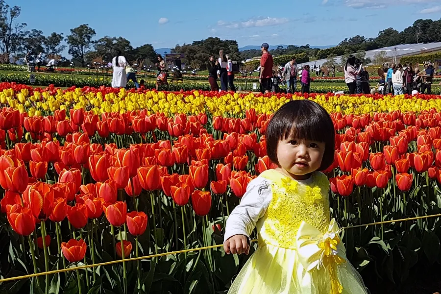 item image 370 album của tour Nông trang Yarra valley và tàu cổ Puffing Billing