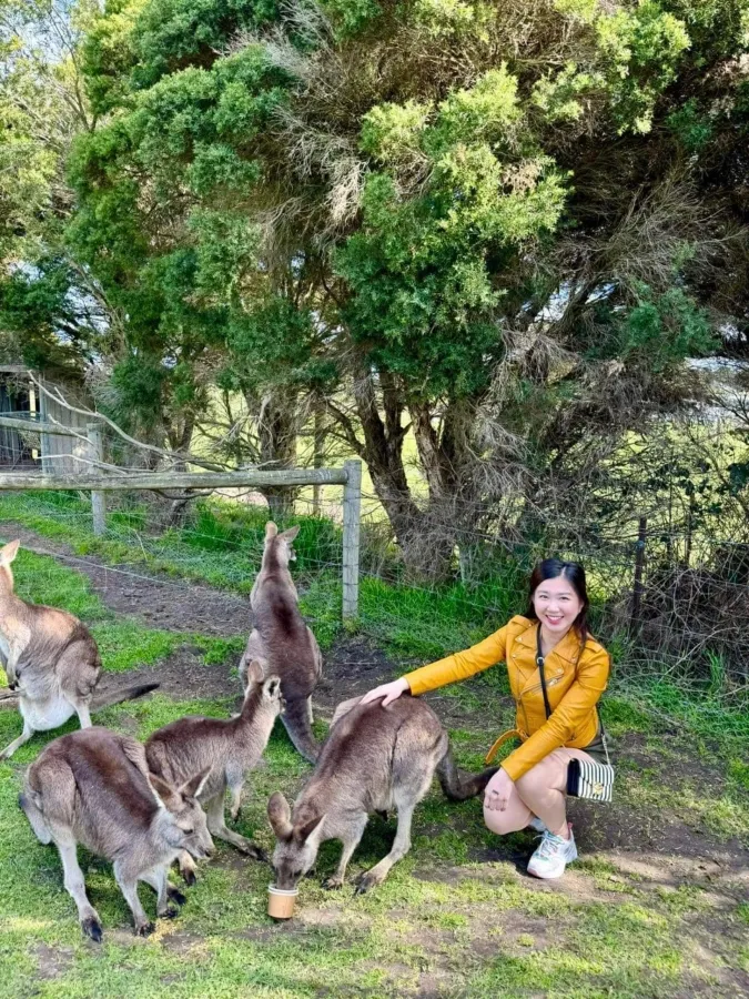 item image 460 album của tour Phillip Island VIP tour