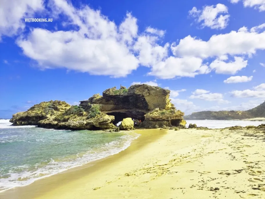 item image 423 album của tour Bán đảo Mornington