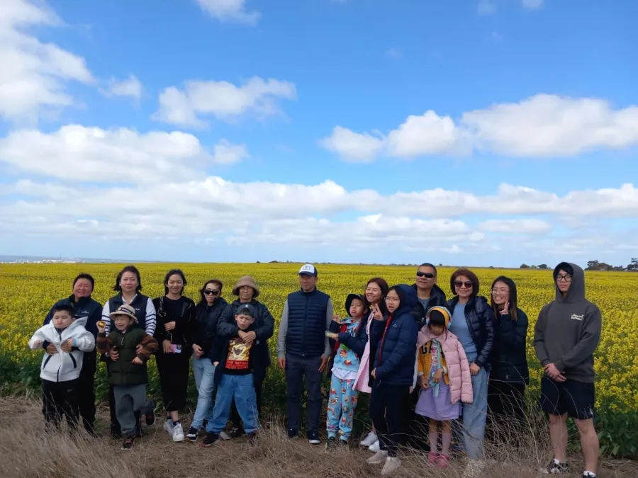 item image 468 album của tour Du ngoạn Vịnh Port Phillip - Ngắm cá heo