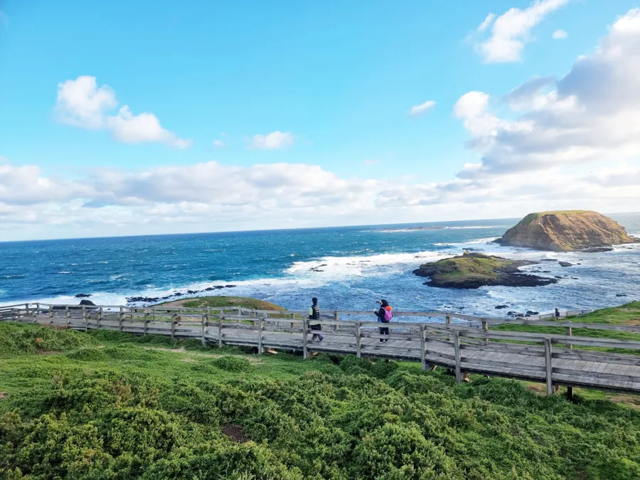 item image 490 album của tour Đảo Phillip - chim cánh cụt - Hải cẩu