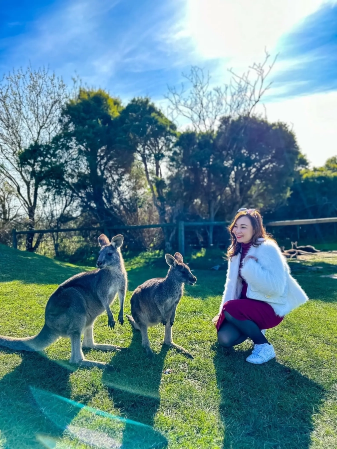 item image 474 album của tour Phillip Island VIP tour