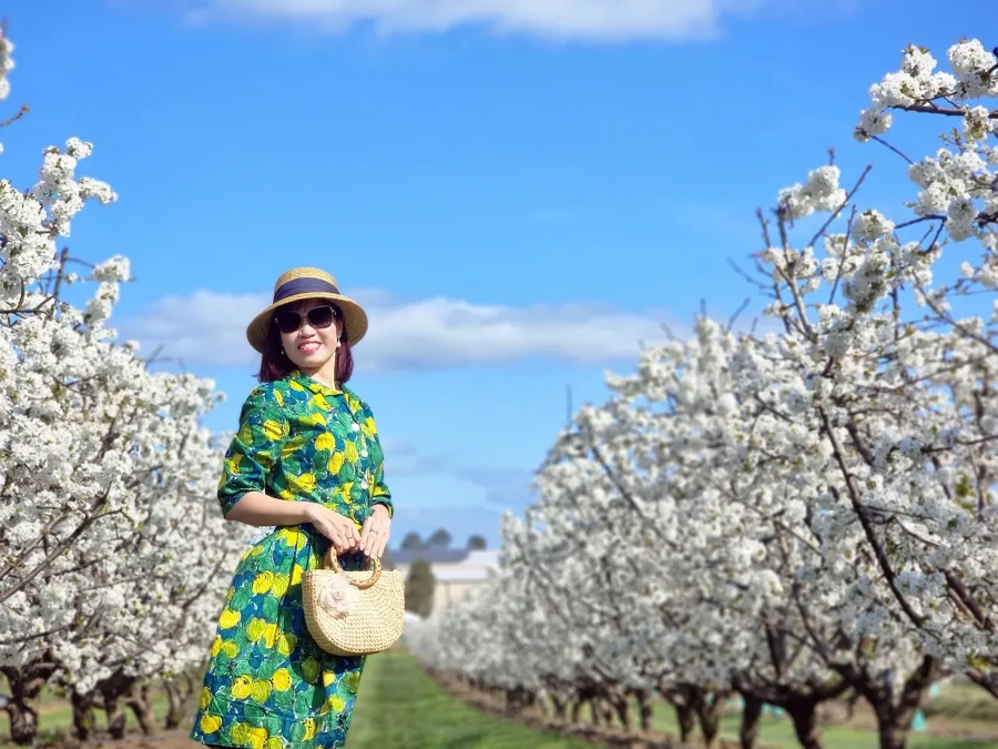 item image 448 album của tour Nông trang Yarra valley và tàu cổ Puffing Billing