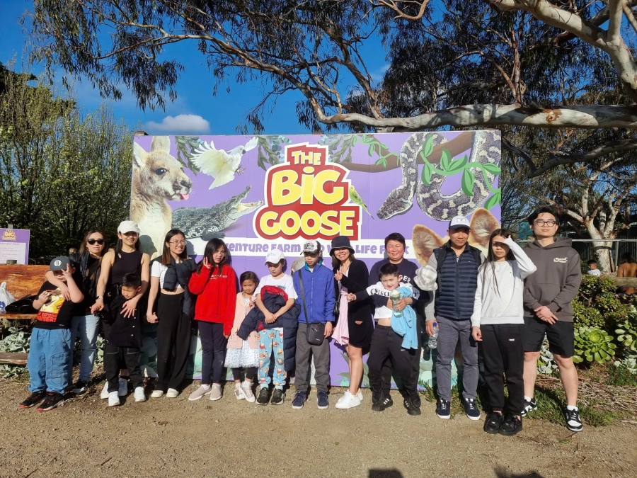 item image 475 album của tour Du ngoạn Vịnh Port Phillip - Ngắm cá heo