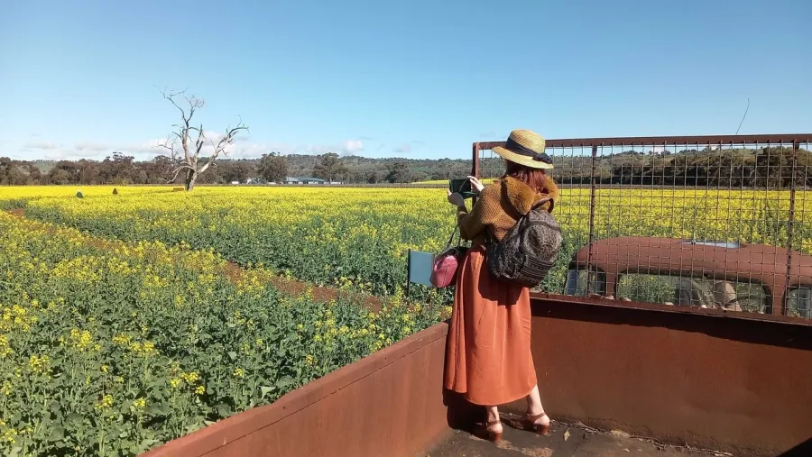 item image 478 album của tour Chùa phật ngọc Bendigo và hoa