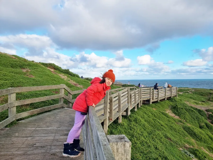 item image 495 album của tour Đảo Phillip - chim cánh cụt - Hải cẩu