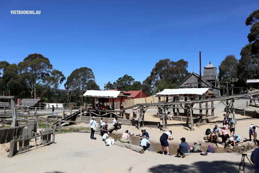 item image 506 album của tour Ballarat VIP